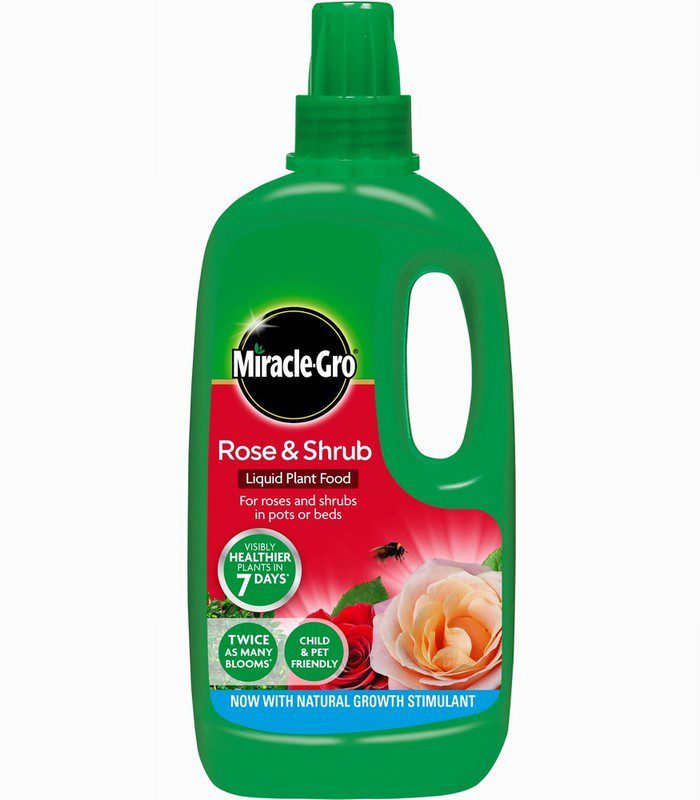 MIRACLE-GRO ROSE AND SHRUB CONC