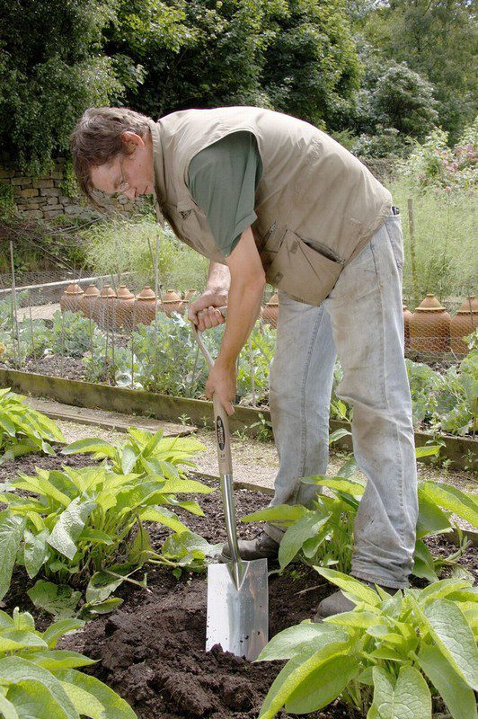 S&J Stainless Steel Border Spade
