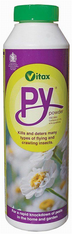 PY Powder - Image 2