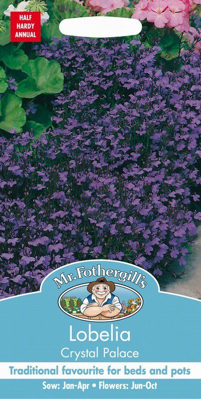 UK/FO-LOBELIA Crystal Palace