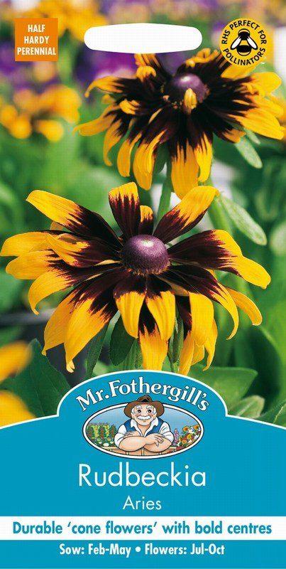 UK/FO-RUDBECKIA Aries