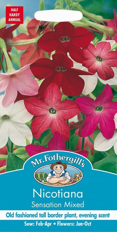 UK/FO-NICOTIANA Sensation Mixed