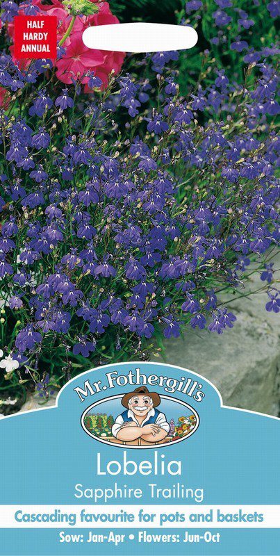 UK/FO-LOBELIA Sapphire Trailing