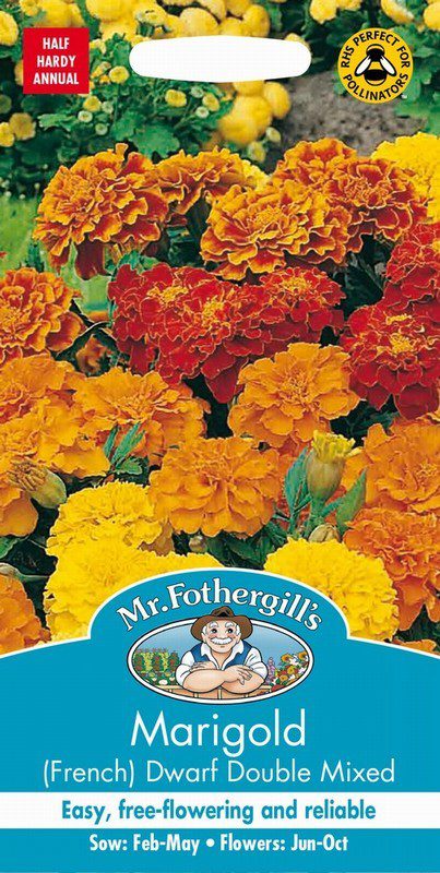 UK/FO-MARIGOLD (French) Dwarf Double Mixed