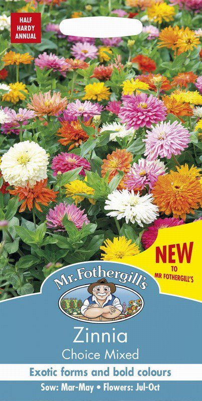 UK/FO-ZINNIA Choice Mixed