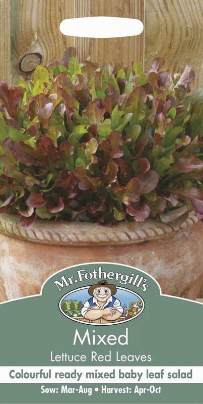 UK/FO-MIXED Lettuce Red Leaves