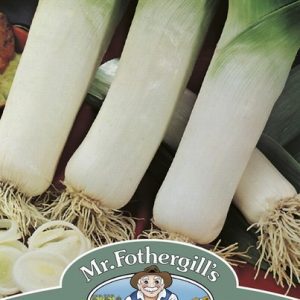 UK/FO-LEEK Elefant