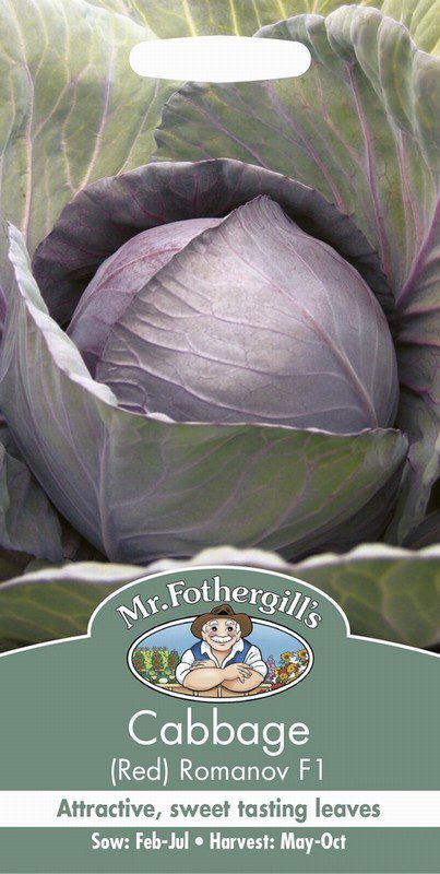 UK/FO-CABBAGE (Red) Romanov F1