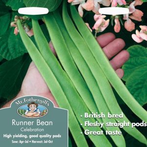 UK/FO-RUNNER BEAN Celebration