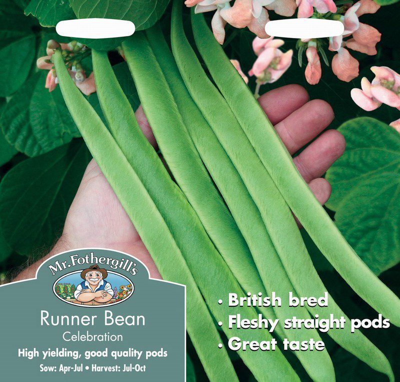 UK/FO-RUNNER BEAN Celebration