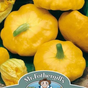 UK/FO-SQUASH (Summer) Sunburst F1