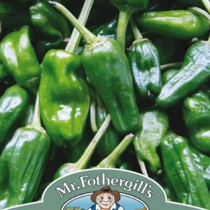 UK/FO-PEPPER (Hot) Padron