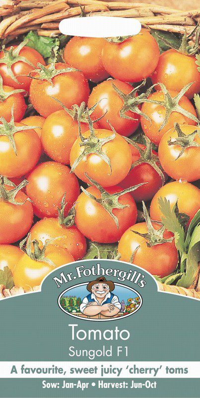 UK/FO-TOMATO Sungold F1