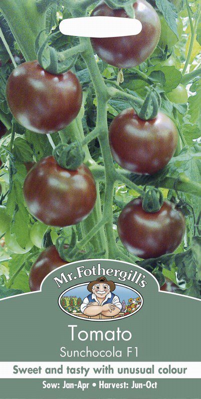UK/FO-TOMATO Sunchocola F1