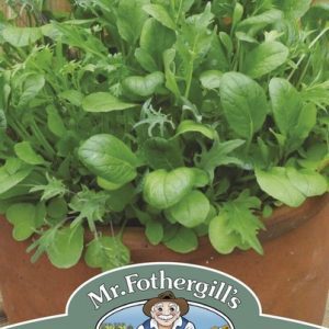UK/FO-MIXED Mild Salad Leaves