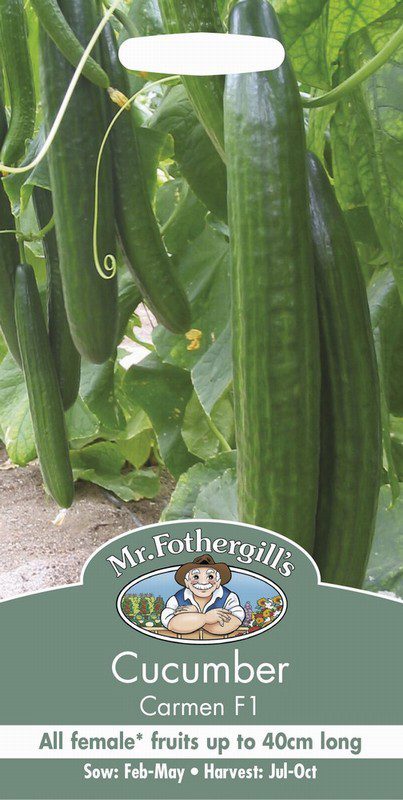 UK/FO-CUCUMBER Carmen F1