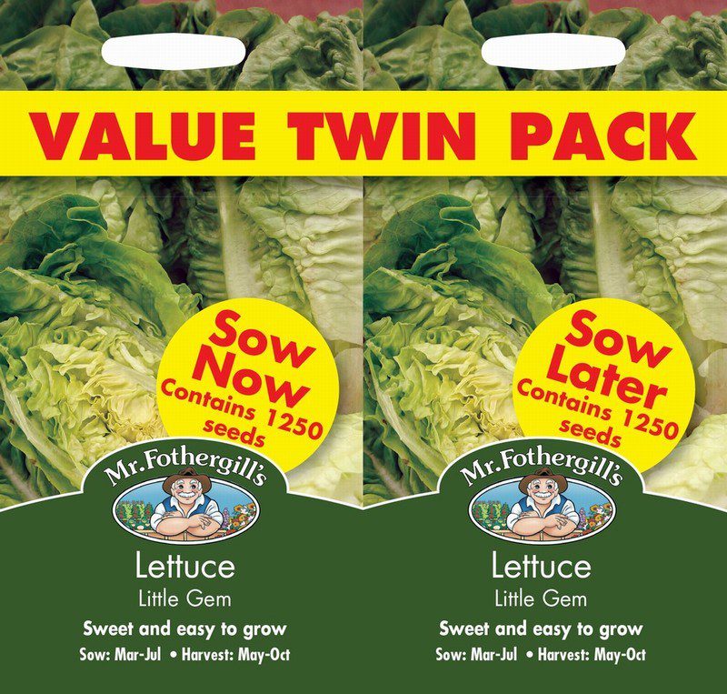 UK/FO-LETTUCE Little Gem Bumper Pack