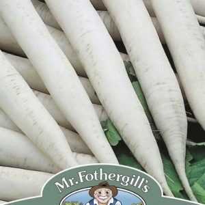 UK/FO-RADISH (Mooli) Mino Early