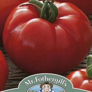 UK/FO-TOMATO Country Taste F1