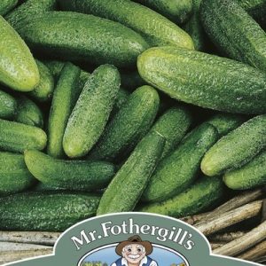 UK/FO-CUCUMBER (Gherkin) Cornichon de Paris