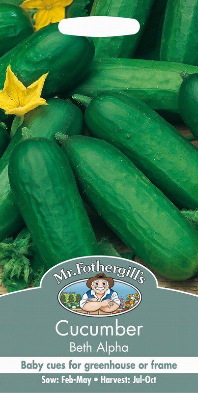UK/FO-CUCUMBER Beth Alpha