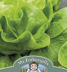 UK/FO-LETTUCE Gustav's Salad