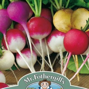 UK/FO-RADISH Bright Lights