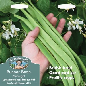 UK/FO-RUNNER BEAN Moonlight