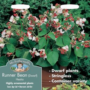 UK/FO-RUNNER BEAN (Dwarf) Hestia