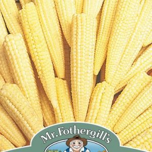 UK/FO-SWEET CORN Minipop F1