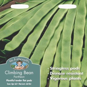 UK/FO-CLIMBING FRENCH BEAN Pantheon