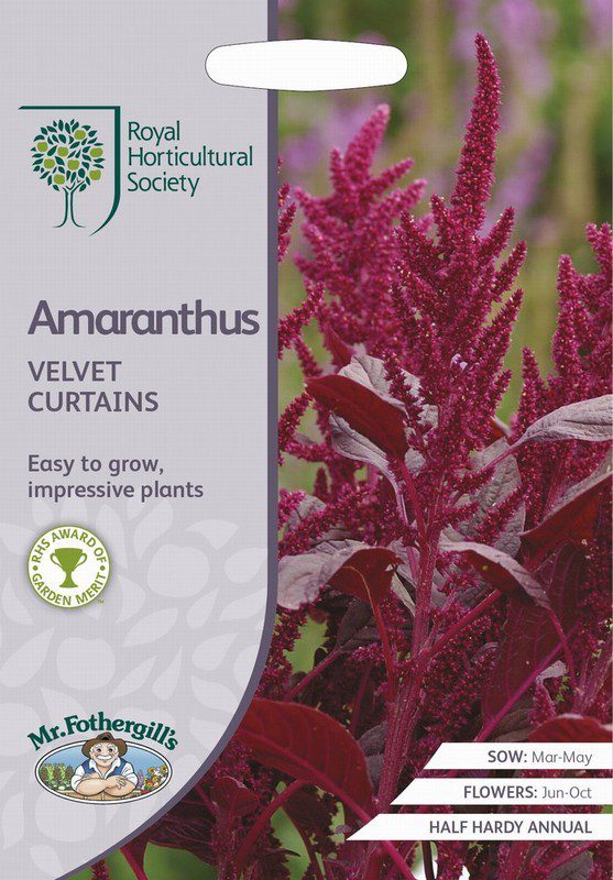 UK/FO-RHS-AMARANTHUS Velvet Curtains - Raglan Garden Centre