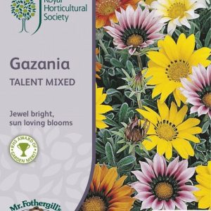 UK/FO-RHS-GAZANIA Talent Mixed