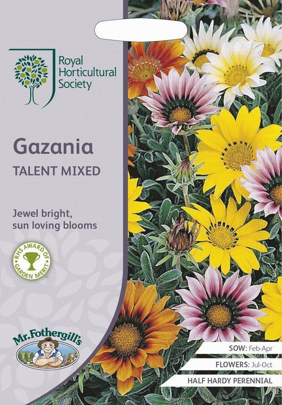 UK/FO-RHS-GAZANIA Talent Mixed