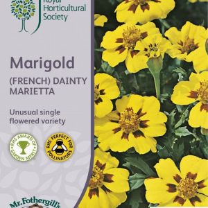 UK/FO-RHS MARIGOLD (French) Da