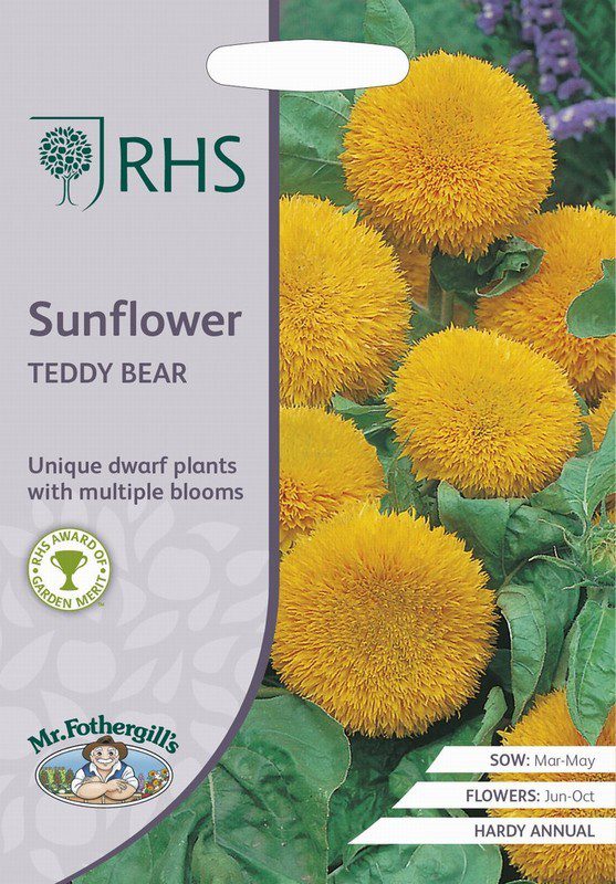 UK/FO-RHS-SUNFLOWER Teddy Bear