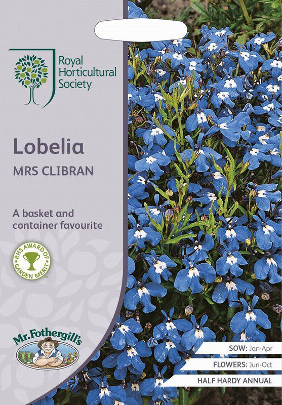UK/FO-RHS-LOBELIA Mrs Clibran