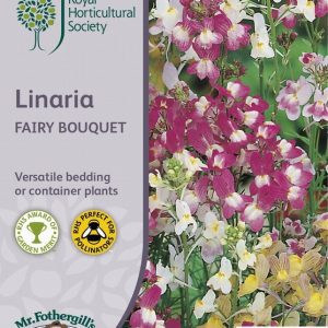 UK/FO-RHS-LINARIA Fairy Bouquet