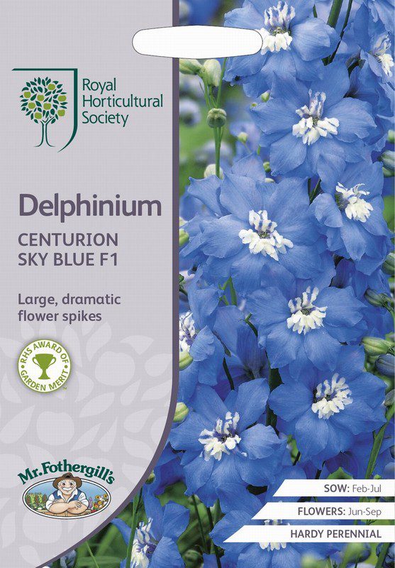 UK/FO-RHS-DELPHINIUM Centurion Sky Blue F1