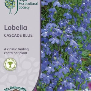 UK/FO-RHS-LOBELIA Cascade Blue