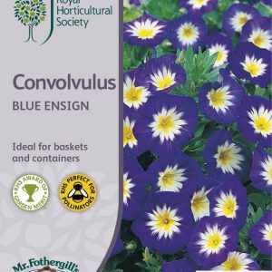 UK/FO-RHS-CONVOLVULUS Blue Ensign