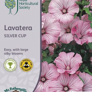 UK/FO-RHS-LAVATERA Silver Cup