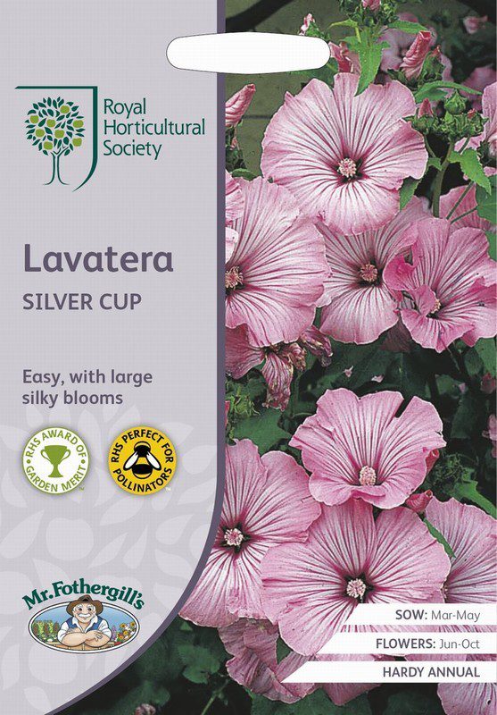UK/FO-RHS-LAVATERA Silver Cup