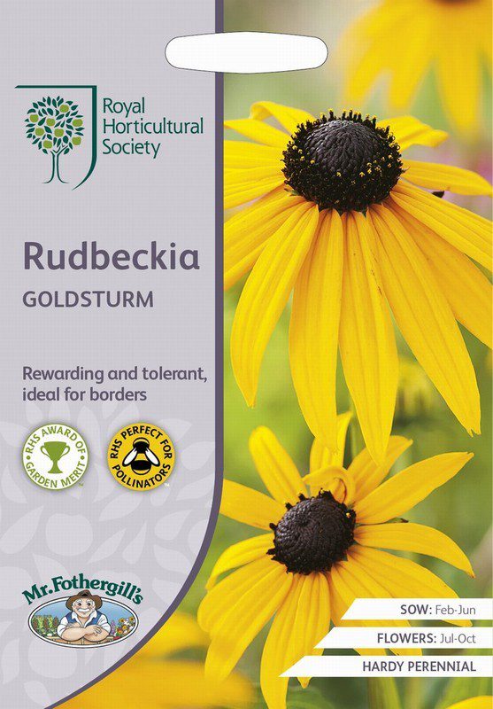 UK/FO-RHS-RUDBECKIA Goldsturm
