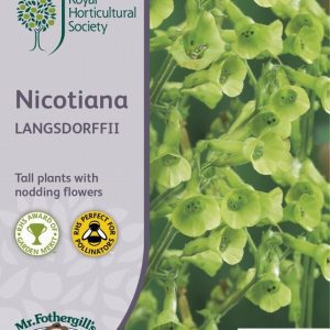 UK/FO-RHS-NICOTIANA langsdorffii