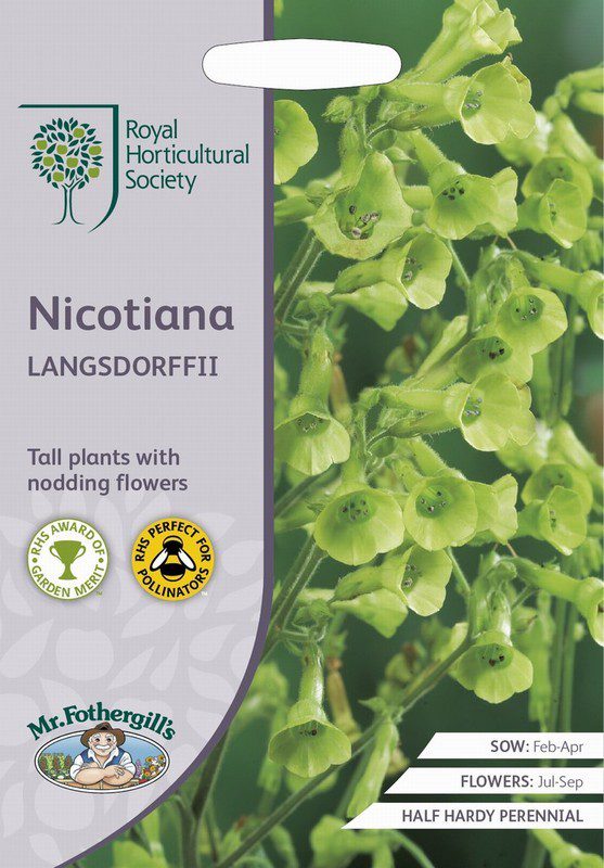 UK/FO-RHS-NICOTIANA langsdorffii