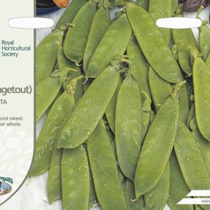 UK/FO-RHS-PEA (Mangetout) Delikata