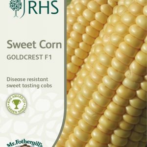 UK/FO-RHS-SWEET CORN Goldcrest F1
