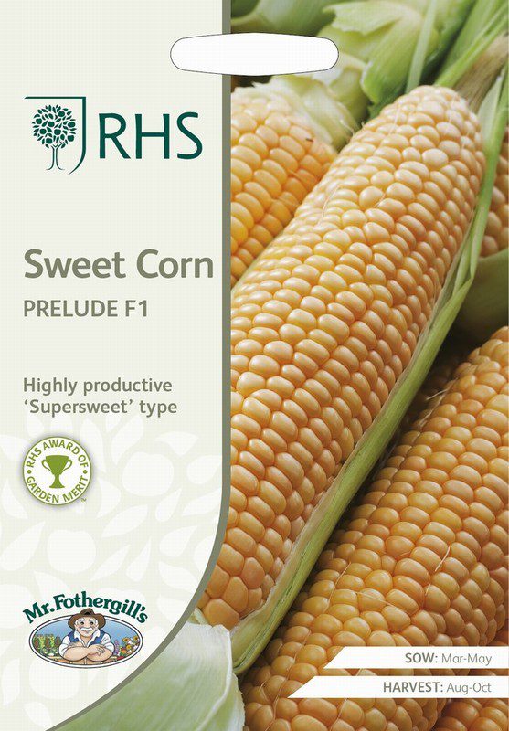 UK/FO-RHS-SWEET CORN Prelude F1
