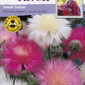 UK/SR-SWEET SULTAN